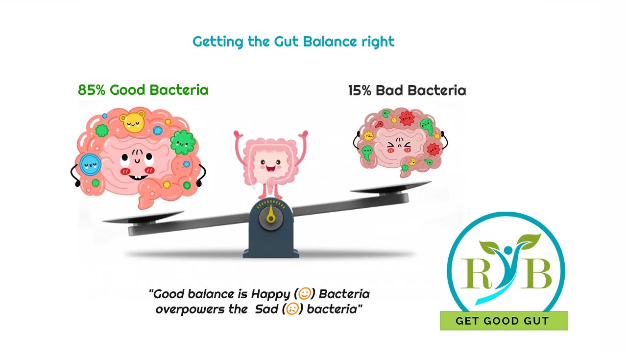 Getting the Gut Balance right (Good Vs Bad bacteria)
