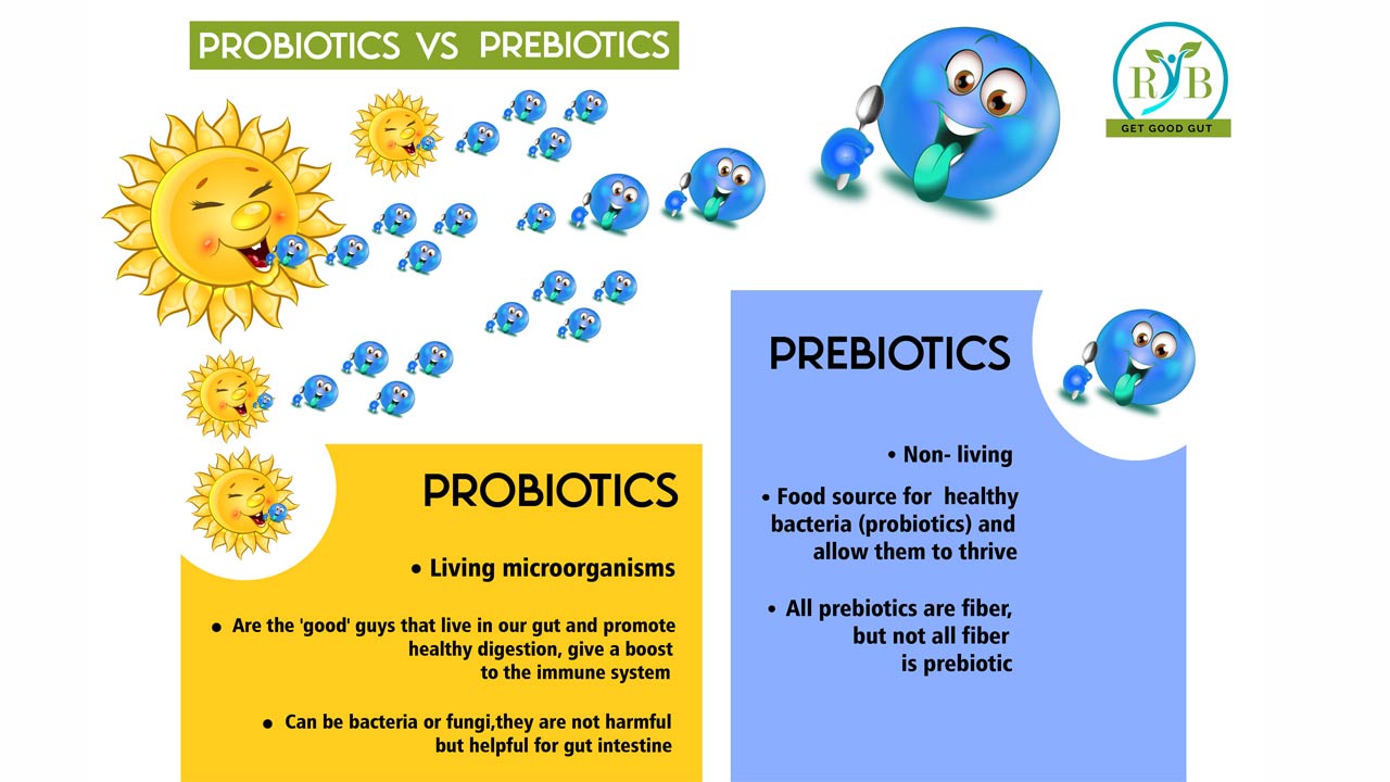Probiotics and Prebiotics: What’s the Difference?