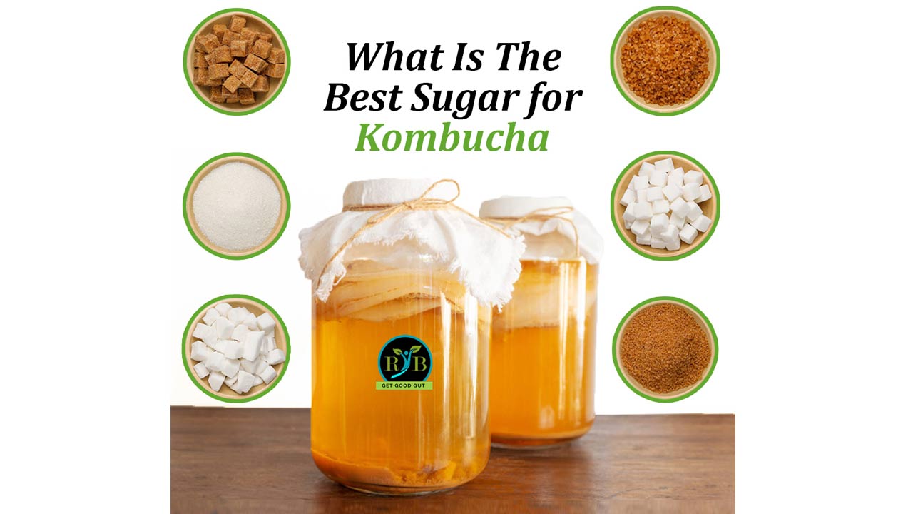 Types of Sugar to Be Used For Brewing Kombucha