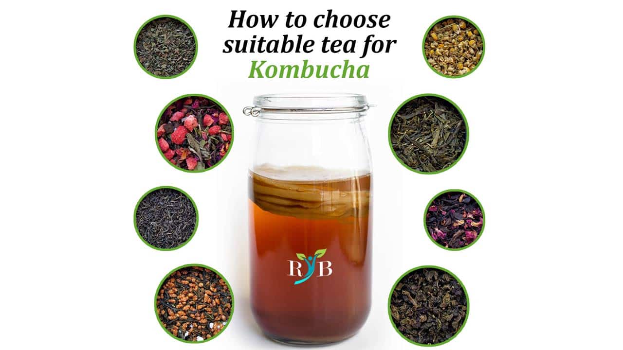 The most important ingredient for Kombucha?  Tea—but not just any tea