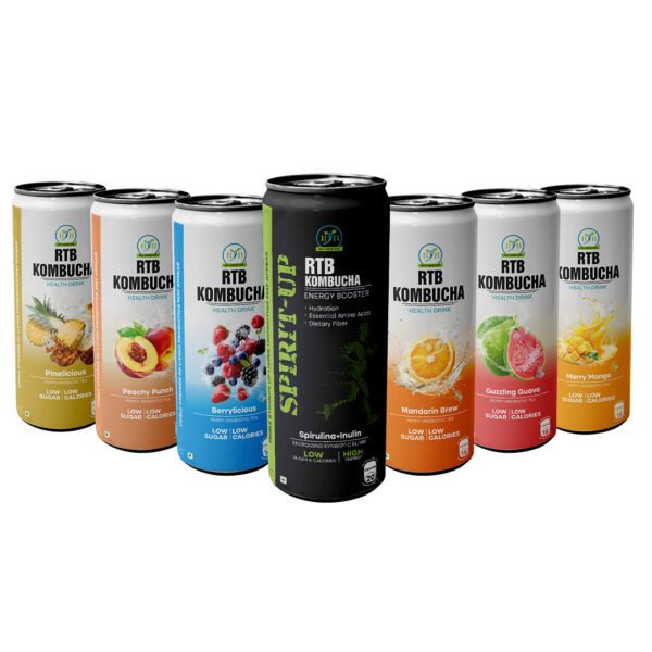 RTB Kombucha – Pack of 7