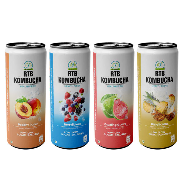 RTB Kombucha - Pack of 4