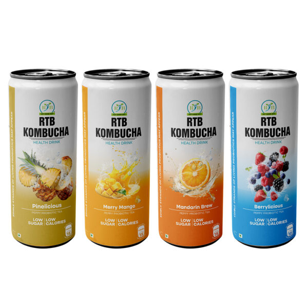RTB Kombucha - Pack of 4 - Image 2