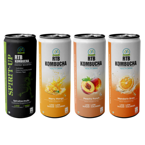 RTB Kombucha - Pack of 4 - Image 3