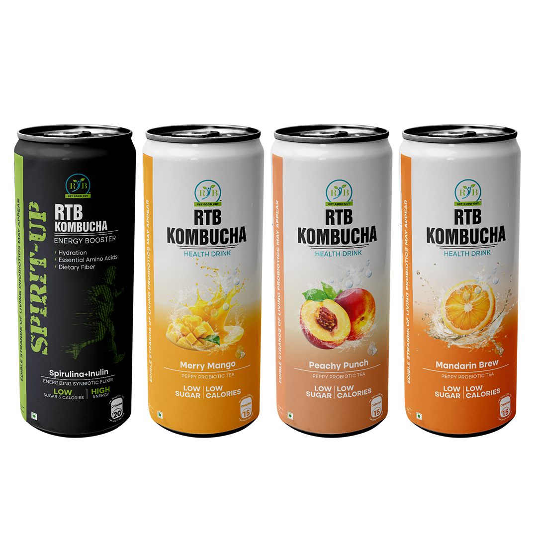 RTB Kombucha - Pack of 4 - Image 3