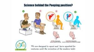 Is Pooping Position and Gut Health are Interrelated? – RTB Ferments I ...